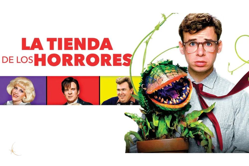 Gafas Eclipse Solar - Películas sobre eclipses - La tienda de los horrores